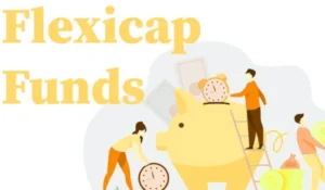 How Flexicap Fund Quietly Overtook Category-Restricted Funds as the Default Pick